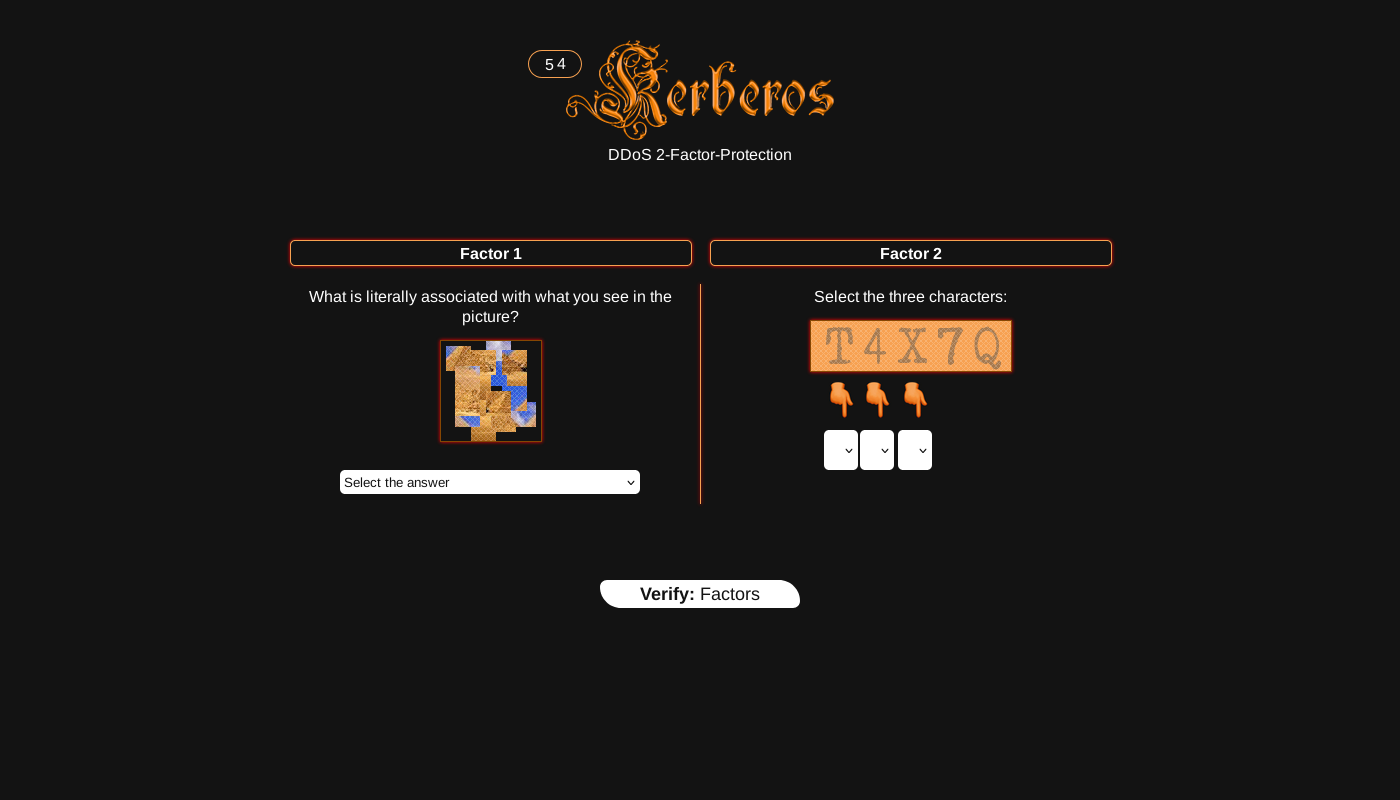 DDoS Protection Screen